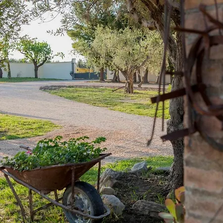 Masseria Piana Cimino Bed & Breakfast