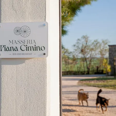 Frühstückspension Masseria Piana Cimino Pietra Montecorvino